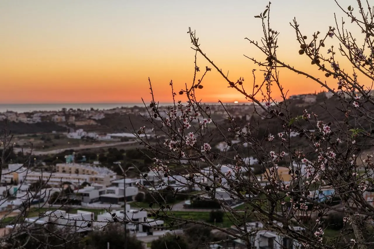 Apartment Apartamento Sunset On The Sea Albufeira Portugal